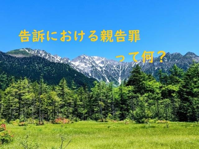 親告罪って何…？　行政書士葛飾江戸川総合法務事務所　東京都港区